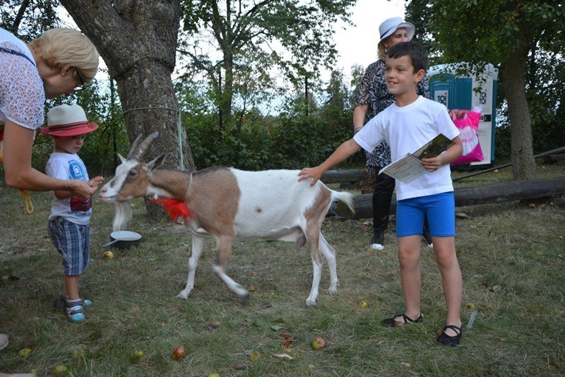 Kolory Polski 2016 fotorelacja 21